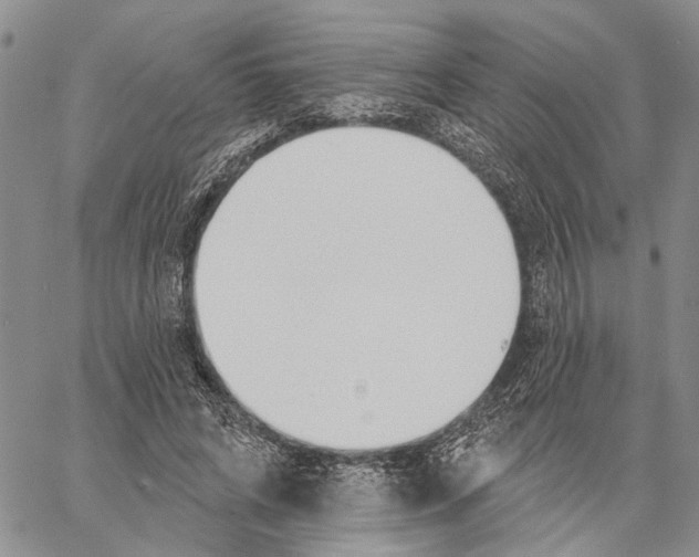 X0000060580592200512011735