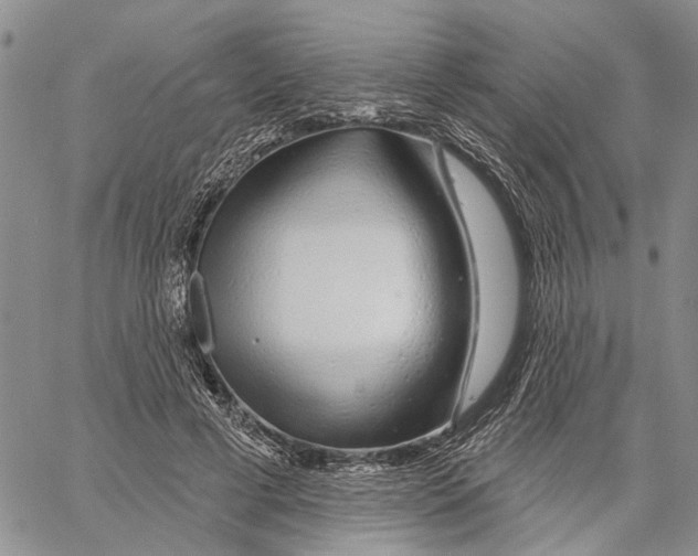 X0000060580593200512011735