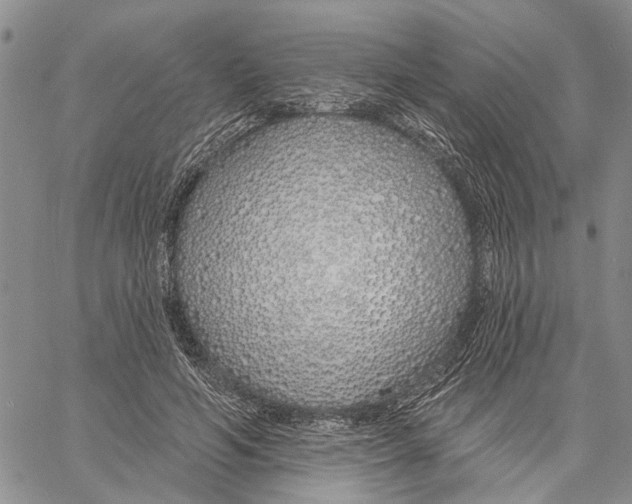 X0000060580594200512011735