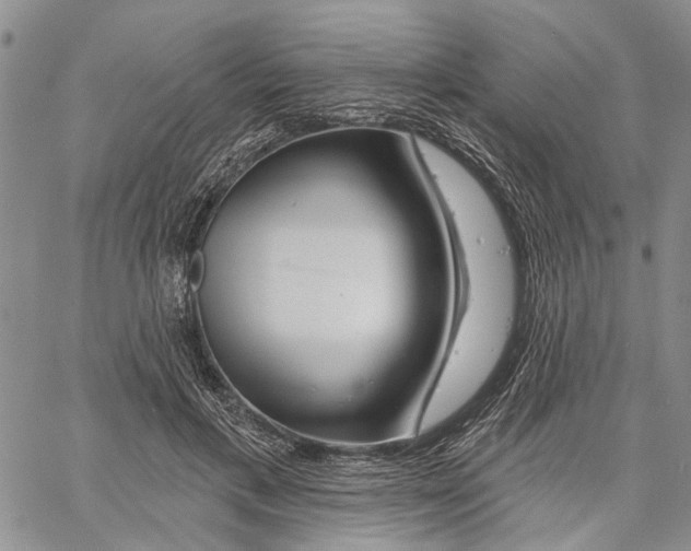 X0000060580597200512011735