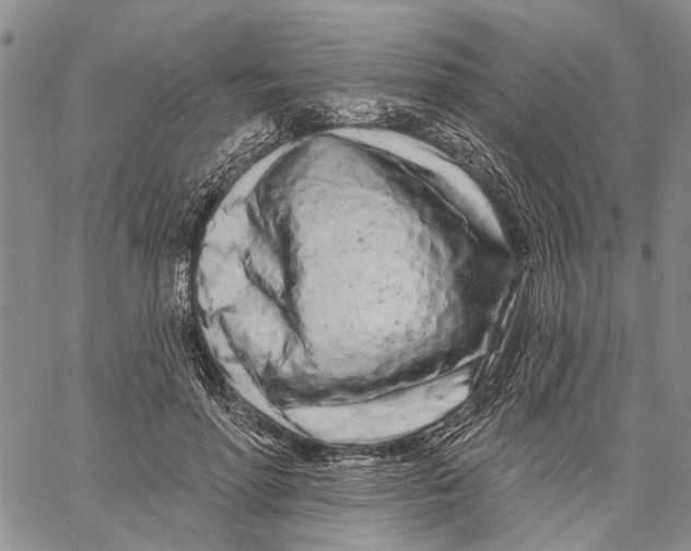 X0000060580598200512011735