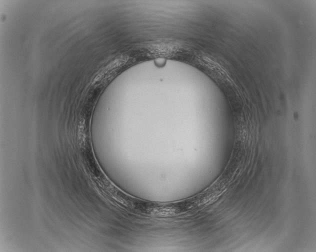 X0000060580599200512011735