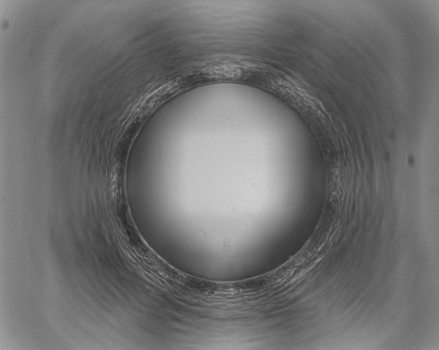 X0000060580600200512011735