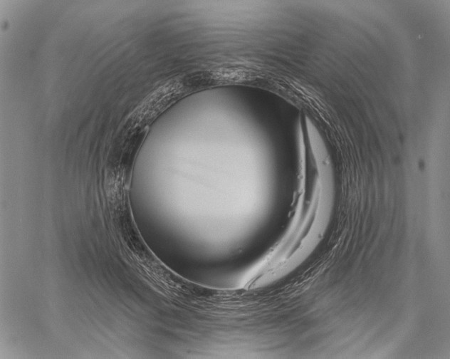 X0000060580601200512011735