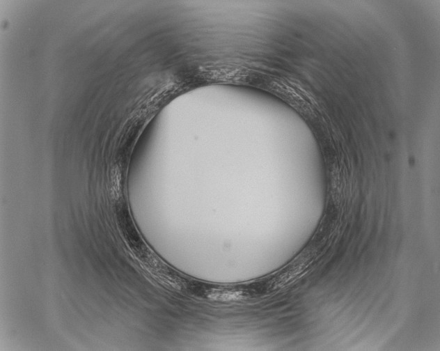 X0000060580602200512011735