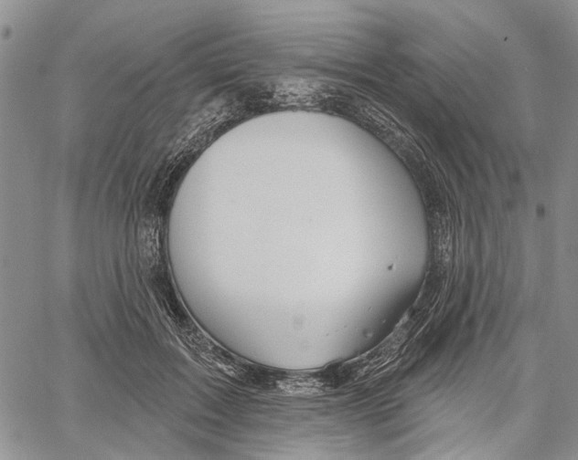 X0000060580603200512011735