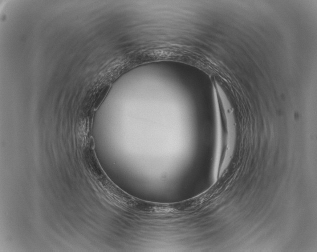 X0000060580605200512011735