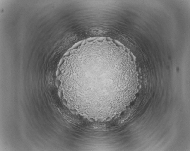 X0000060580606200512011734