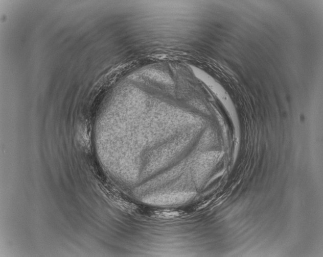 X0000060580607200512011734