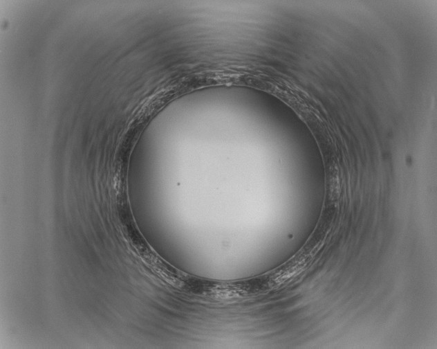 X0000060580608200512011734