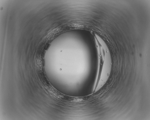 X0000060580609200512011734