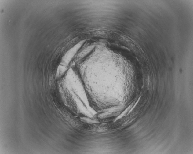 X0000060580610200512011734