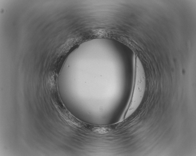 X0000060580611200512011734