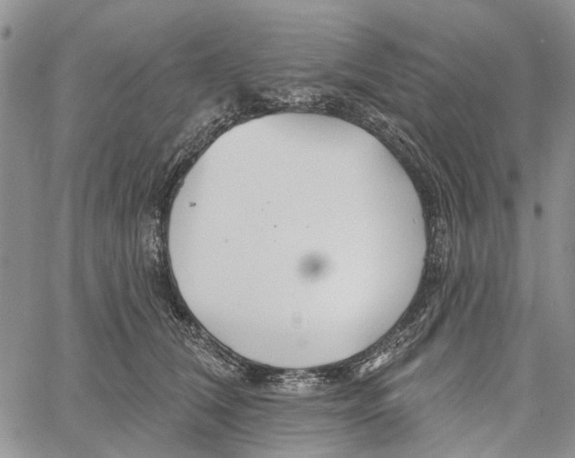 X0000060580612200512011734