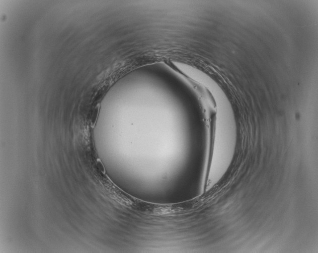 X0000060580613200512011734