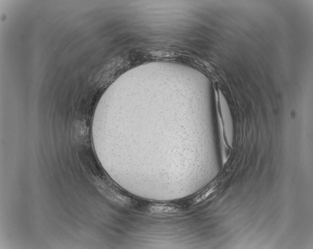 X0000060580614200512011734