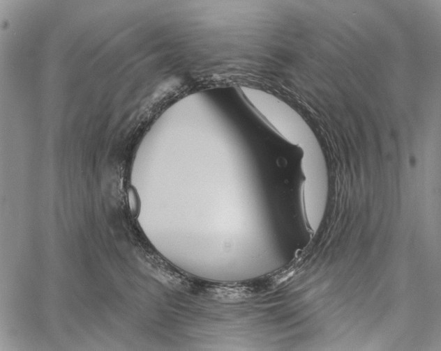 X0000060580615200512011734