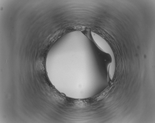 X0000060580616200512011734