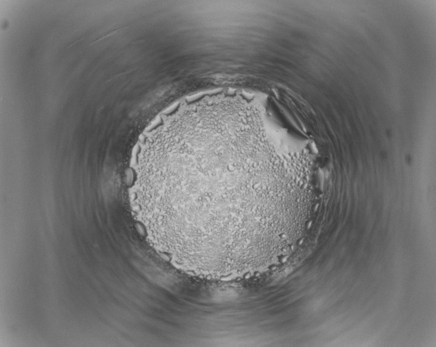 X0000060580618200512011734