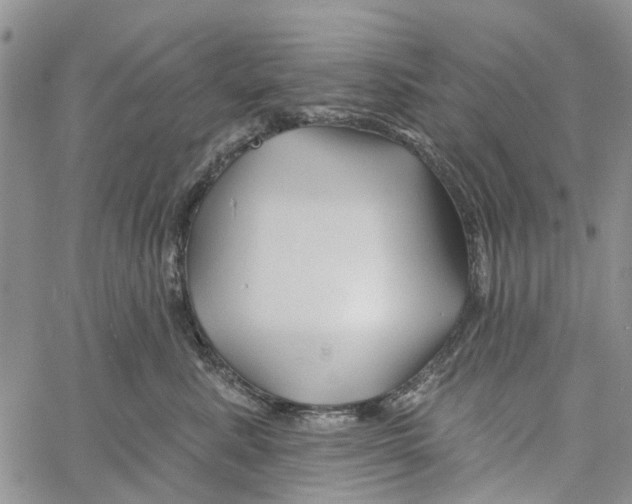 X0000060580619200512011734