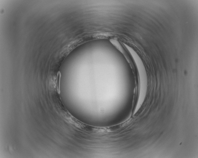 X0000060580621200512011734