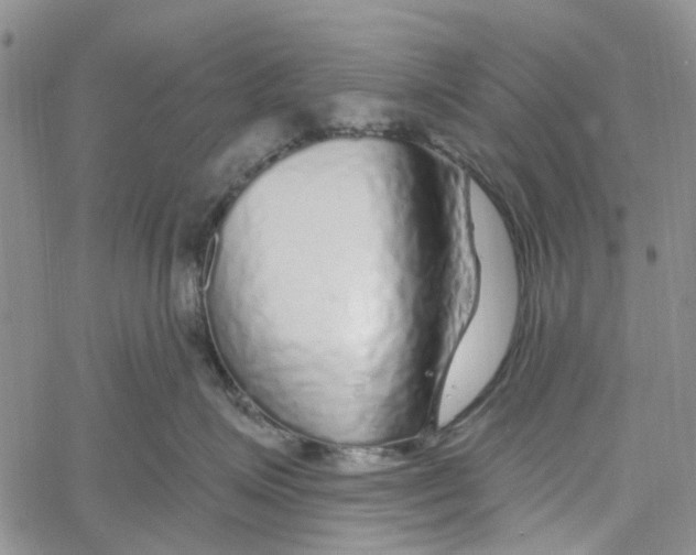 X0000060580623200512011734