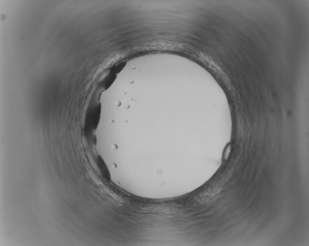 X0000060580625200512011733