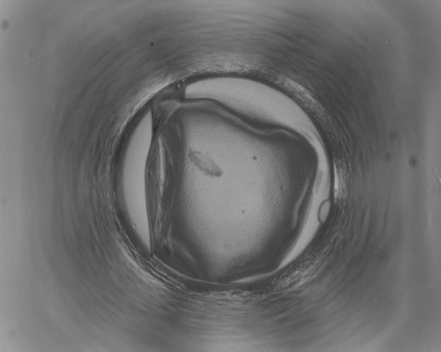 X0000060580627200512011733