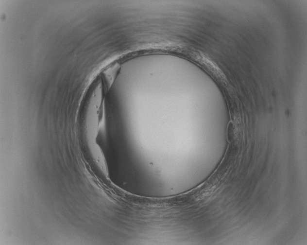 X0000060580628200512011733