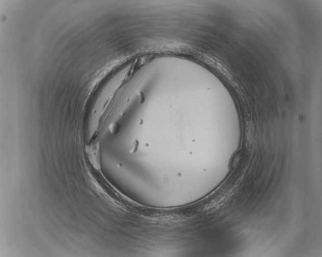 X0000060580629200512011733