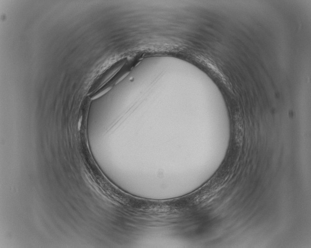 X0000060580631200512011734