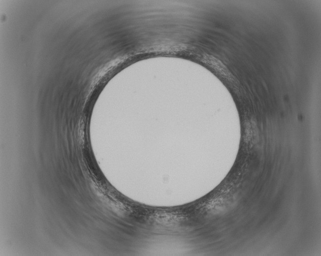 X0000060580632200512011734