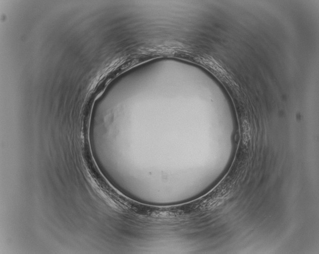 X0000060580634200512011734