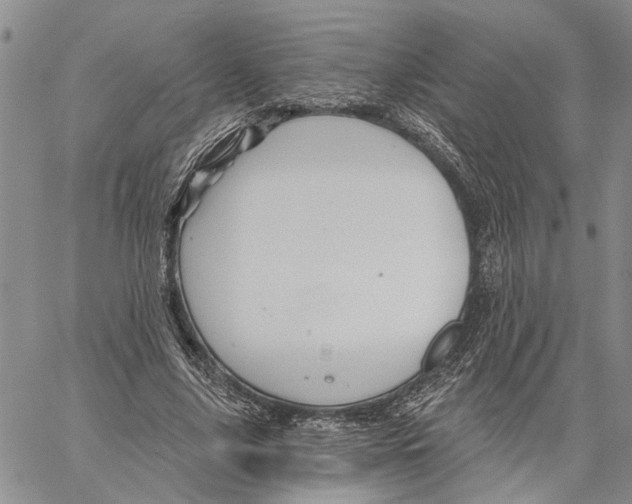 X0000060580635200512011734