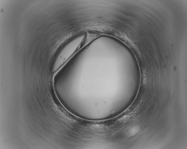 X0000060580637200512011734