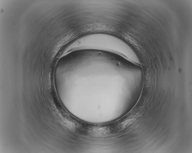 X0000060580638200512011734