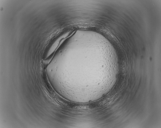 X0000060580639200512011734