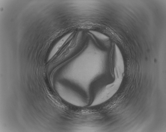 X0000060580641200512011734