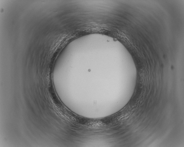 X0000060580642200512011734