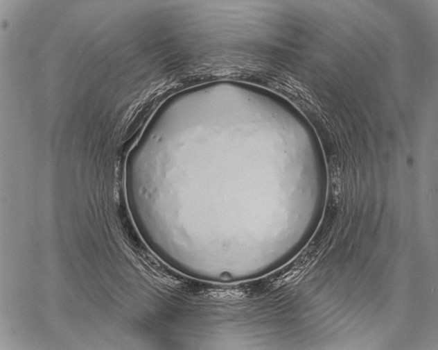 X0000060580644200512011734