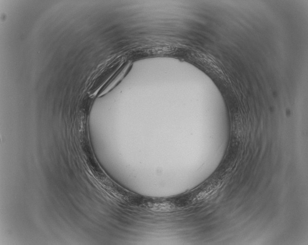 X0000060580645200512011734