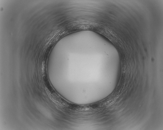 X0000060580646200512011734