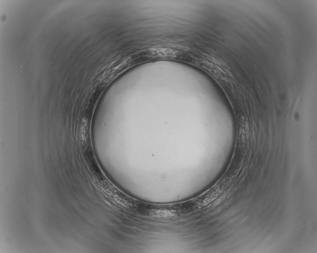 X0000060580649200512011734