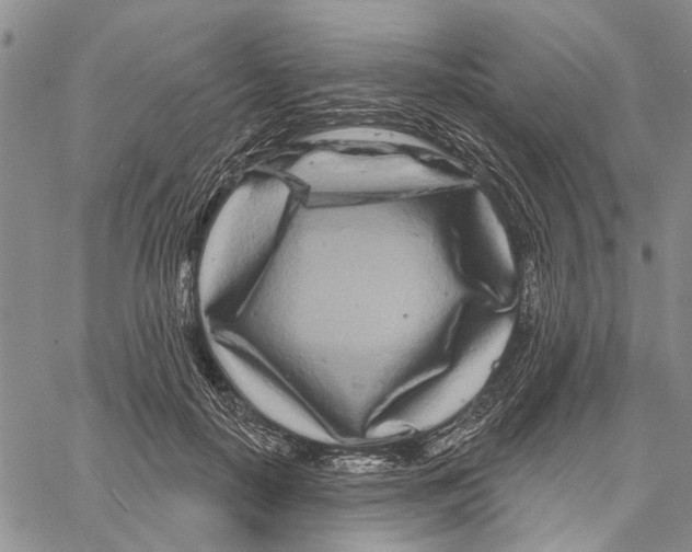 X0000060580650200512011734