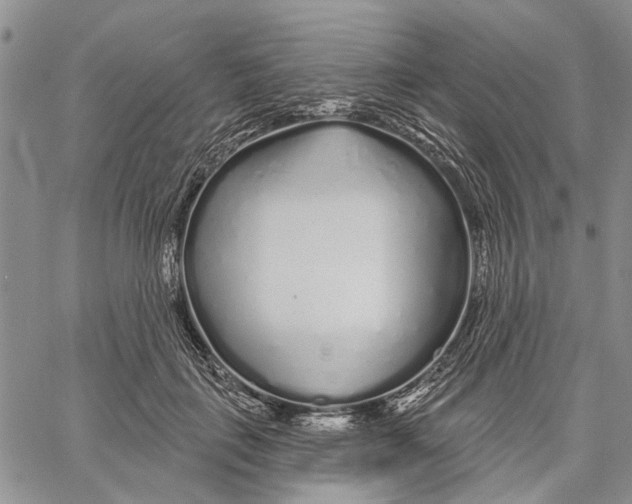 X0000060580651200512011734