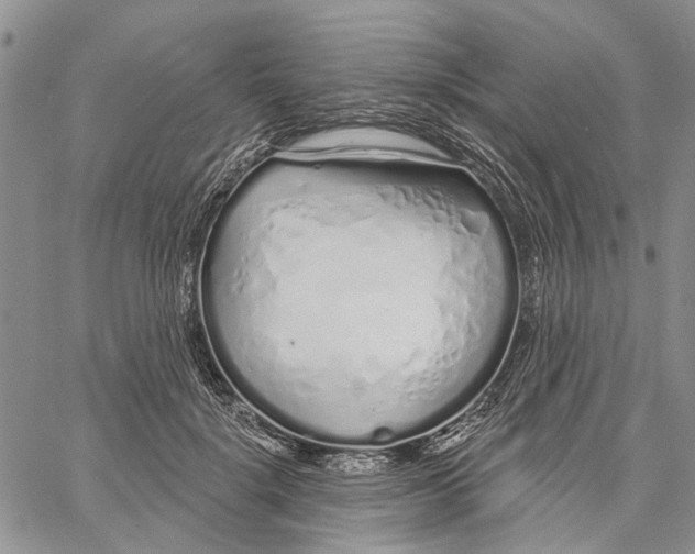 X0000060580652200512011734