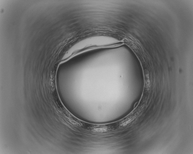 X0000060580653200512011734