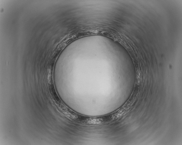 X0000060580656200512011734