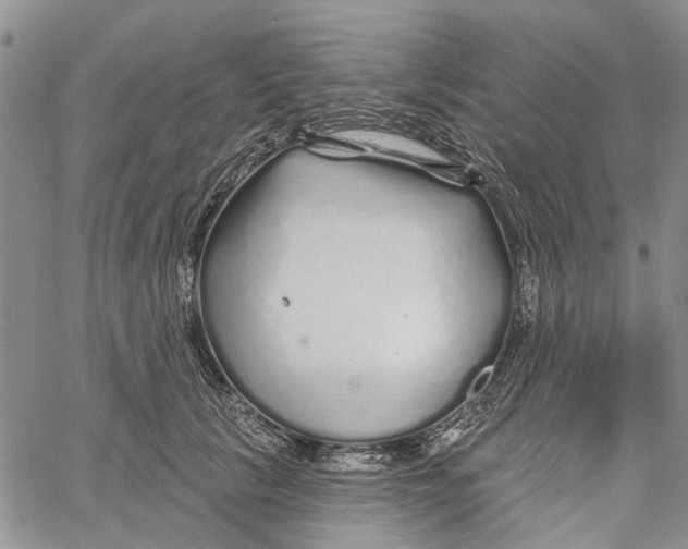 X0000060580657200512011734