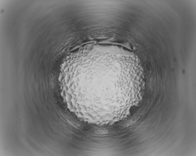 X0000060580658200512011734